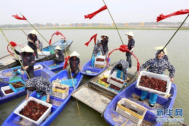 【第十八届盱眙龙虾节专栏】央视直播:盱眙与