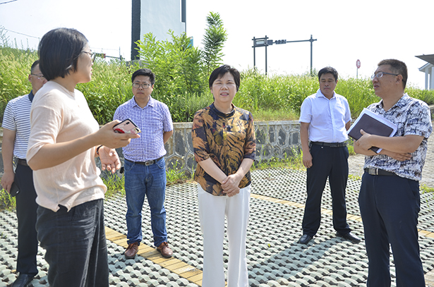 盱眙县人民政府 新闻频道 政务要闻  8月1日上午,副县长雍梅带队现场