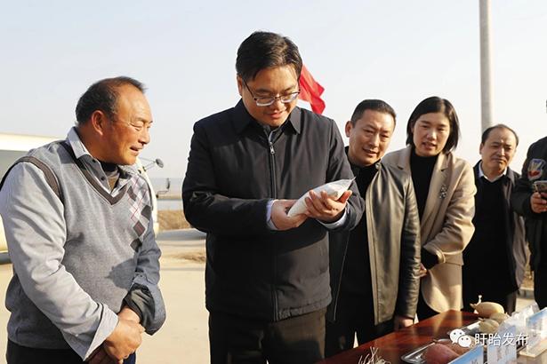 盱眙县委书记邓勇赴河桥镇调研高质量特色发