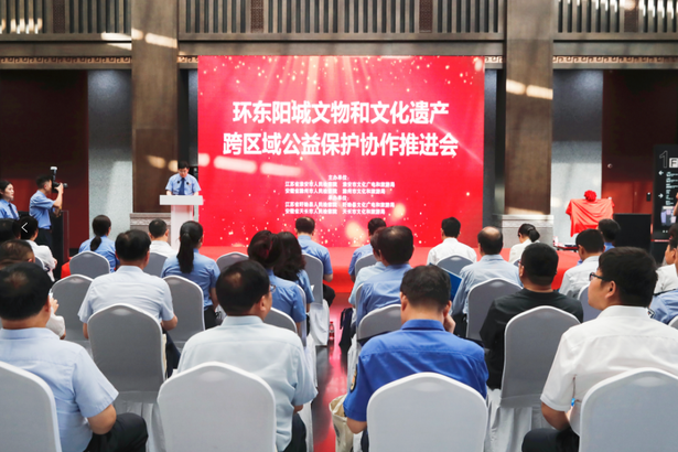 20230608环东阳城文物和文化遗产跨区域公益保护协作推进会在盱召开1.png