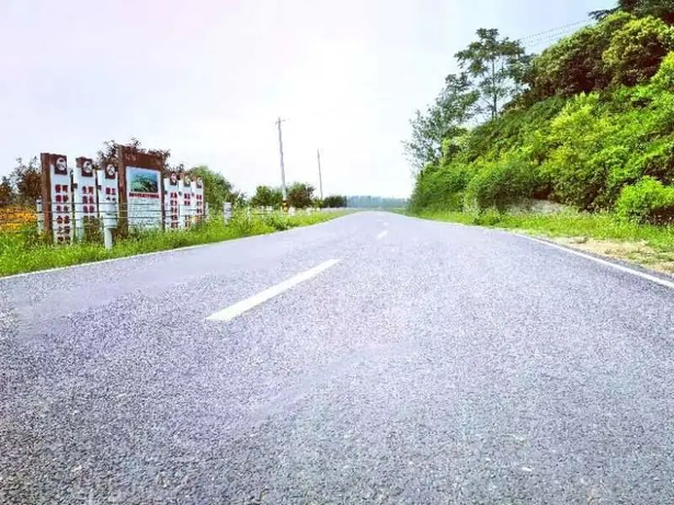 20230623孙志标调研推进环洪泽湖公路建设1.jpg