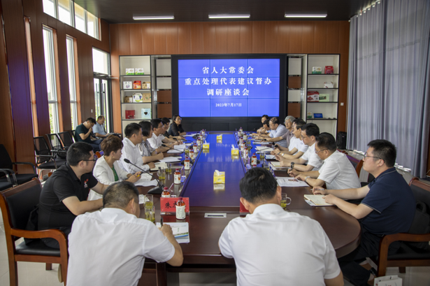 20230717省人大常委会副主任、党组成员魏国强在盱召开重点处理代表建议督办调研座谈会1.png