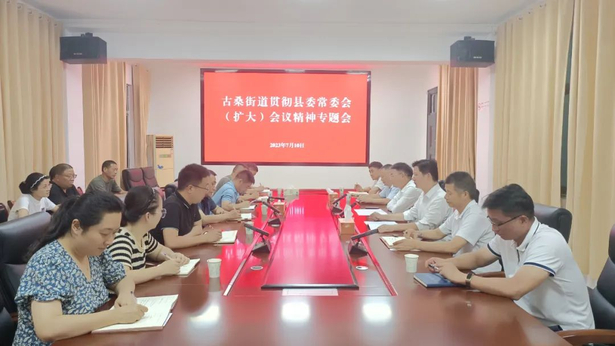 20230710我县各单位各镇街第一时间学习贯彻县委常委会（扩大）会议精神6.jpg