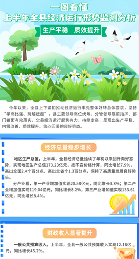 2023年上半年全县经济运行形势监测分析