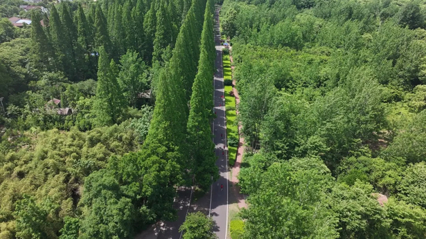 20240519千名大学生乐跑天泉湖3.jpg