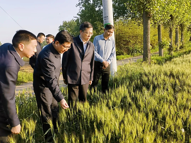 20240508省农业农村厅领导来盱调研.jpg 20240508省农业农村厅领导来盱调研.jpg