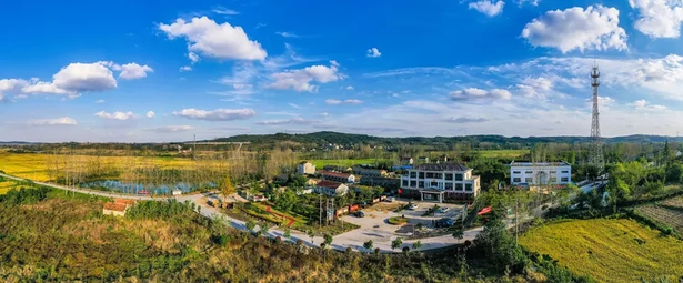 淮安这个村有“龙”潭，龙潭深处有山泉1.jpg