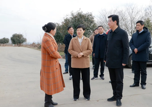 20241219市领导来盱调研生态农业建设工作1.jpg