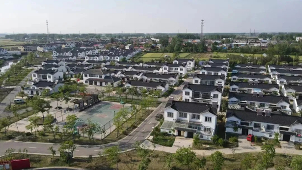 20241219市领导来盱调研生态农业建设工作3.jpg