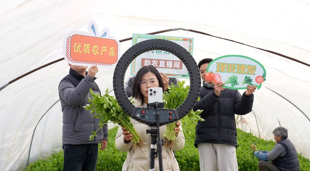 大棚变成“直播间”2.jpg