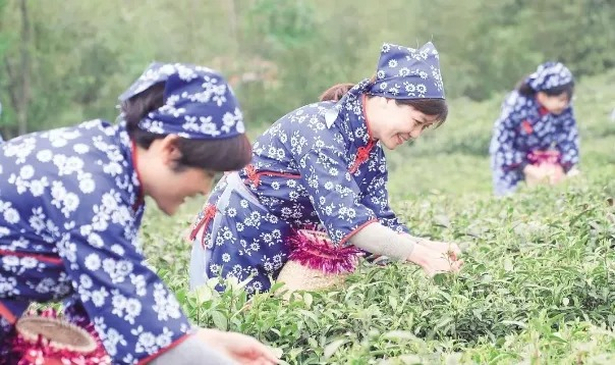 省级推荐 走起呀15.jpg