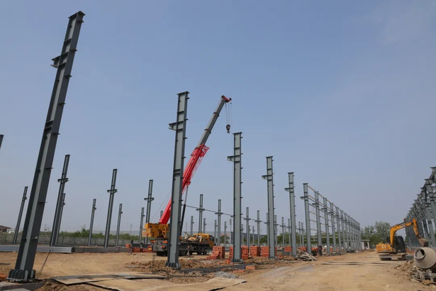 20250503孙志标调研推进重大项目建设2.jpg
