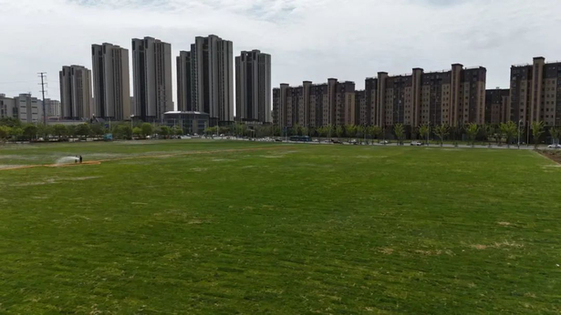 20250701县领导现场推进“一地三用”等项目建设6.jpg