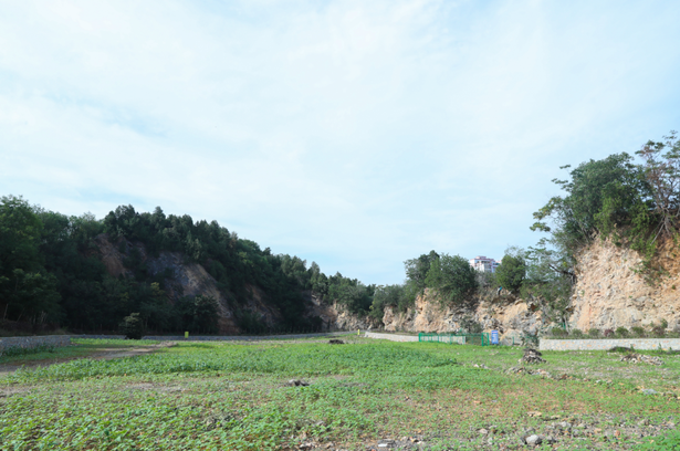 20250701县领导现场推进“一地三用”等项目建设1.png