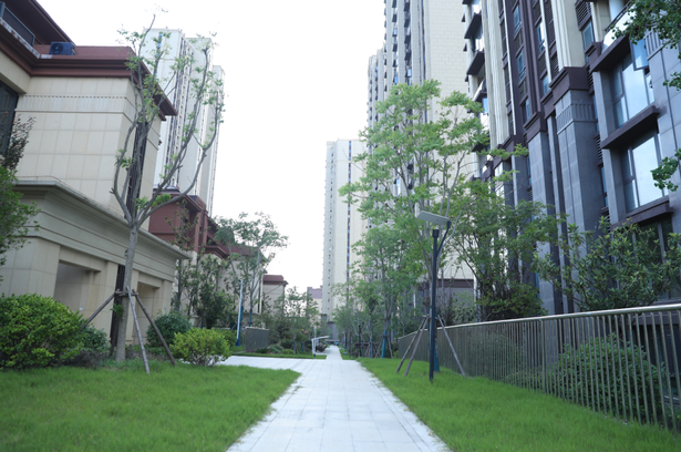 20250701县领导现场推进“一地三用”等项目建设4.png