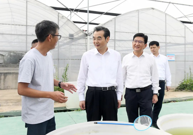 20250813史志军调研党建引领基层治理及村（社区）“两委”换届准备工作1.jpg