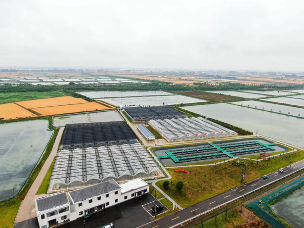 2024-06-12第二十四届盱眙龙虾节开幕3.jpg 2024-06-12第二十四届盱眙龙虾节开幕3.jpg