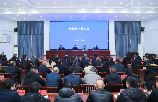 20251201河桥镇召开干部大会 宣布有关负责同志调整决定.jpg