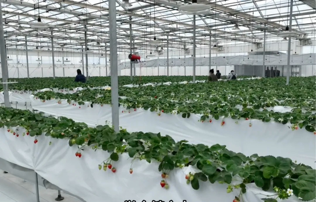 20260108【实干开新局】攻坚项目为民谋福 实干笃行再启新程1.jpg