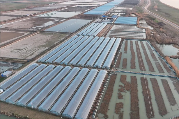 20260108【实干开新局】攻坚项目为民谋福 实干笃行再启新程2.jpg