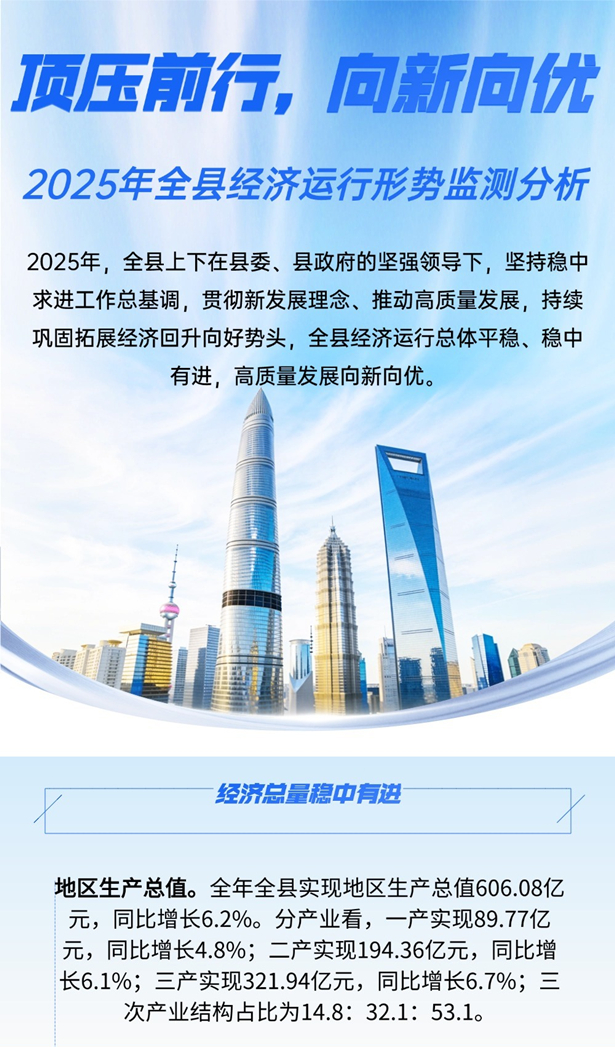 2025年全县经济运行形势监测分析