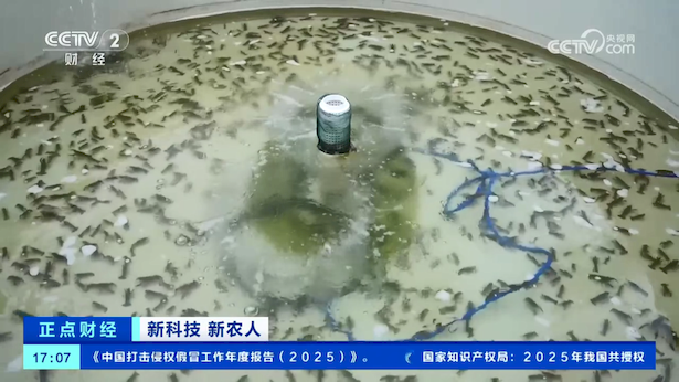盱眙龙虾里的“新科技”亮相央视2.png