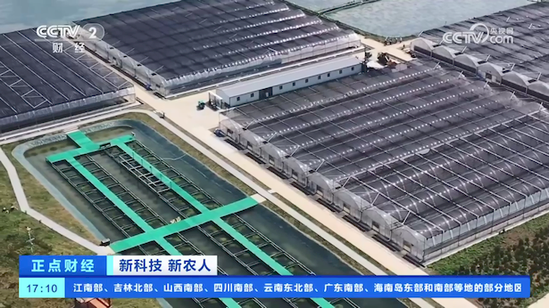 盱眙龙虾里的“新科技”亮相央视7.png