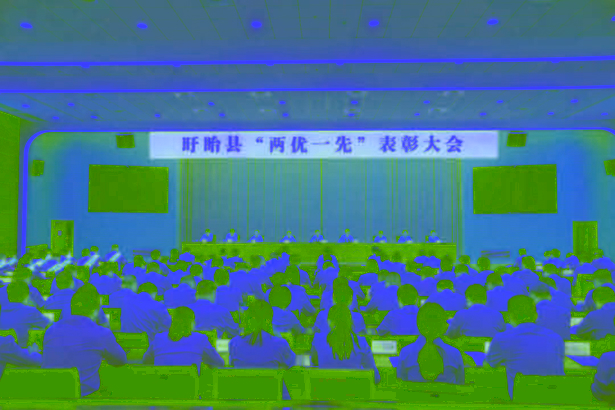 20260702全县“两优一先”表彰大会召开.jpg