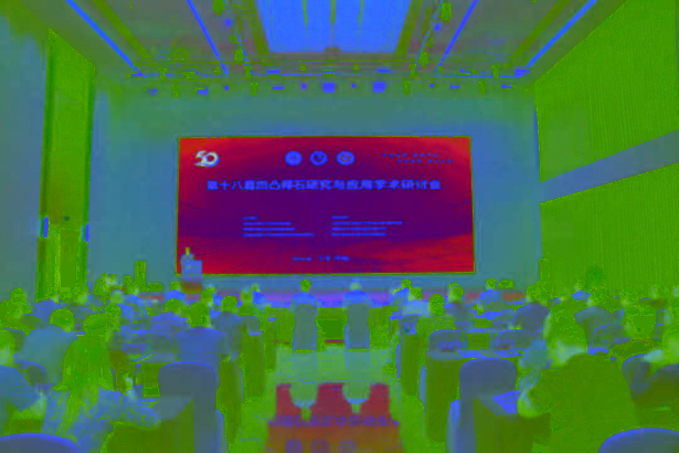 20260818第十八届凹凸棒石研究与应用学术研讨会在盱开幕1.jpg