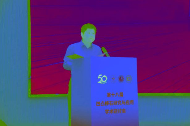 20260818第十八届凹凸棒石研究与应用学术研讨会在盱开幕3.jpg
