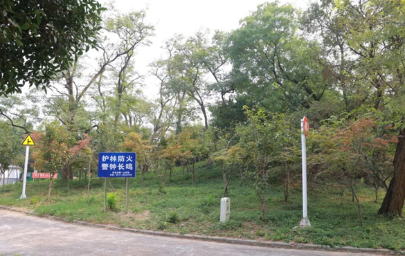 王长俊检查推进安全生产工作